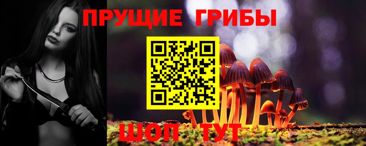 Псилоцибиновые грибы Cubensis  Вход с VPN  Краснодар 