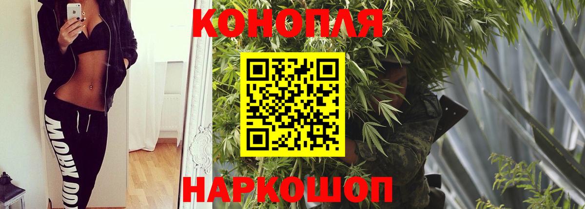 Шишки марихуана конопля  Бошки марихуана THC 21%  Краснодар  Конопля THC 21%  МАРИХУАНА SATIVA & INDICA  Вход с VPN 
